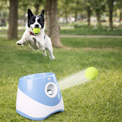 Dog Ball Thrower Automatic