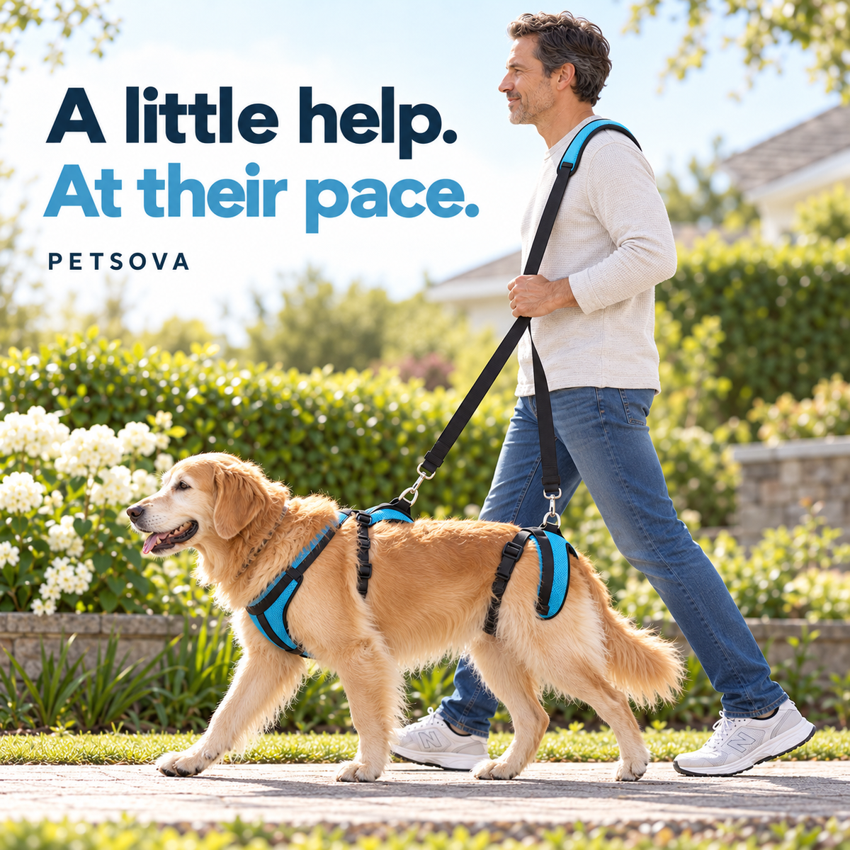 An owner supports their dog while walking together
