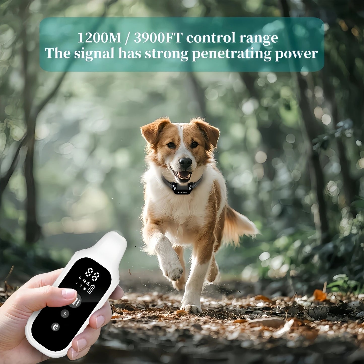 AquaGuard Dog Trainer Pro