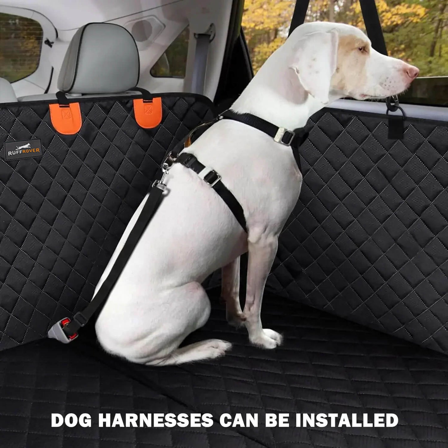 PetSova™ Hard Bottom Seat Cover
