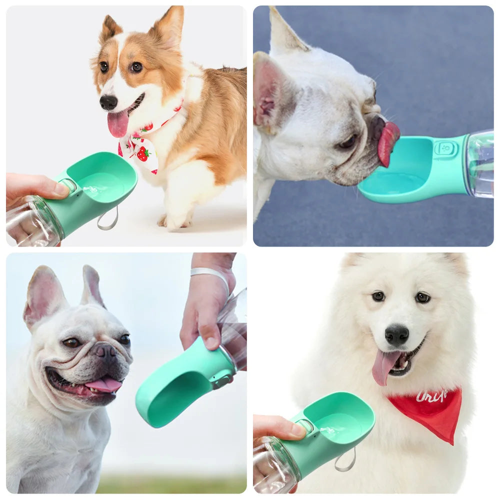 Pocket Pup Travel Water Bottle