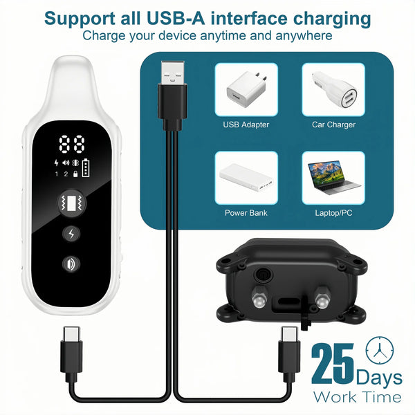 AquaGuard Dog Trainer Pro