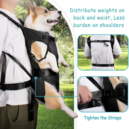 Adventure Pet Front Carrier